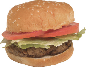 burger_cutout.tif