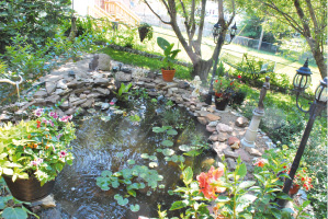 Water Garden-pond.tif