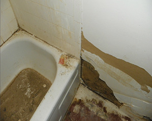 Dirty Bathroom-motel.tif