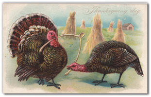 thanksgiving postcards.jpg