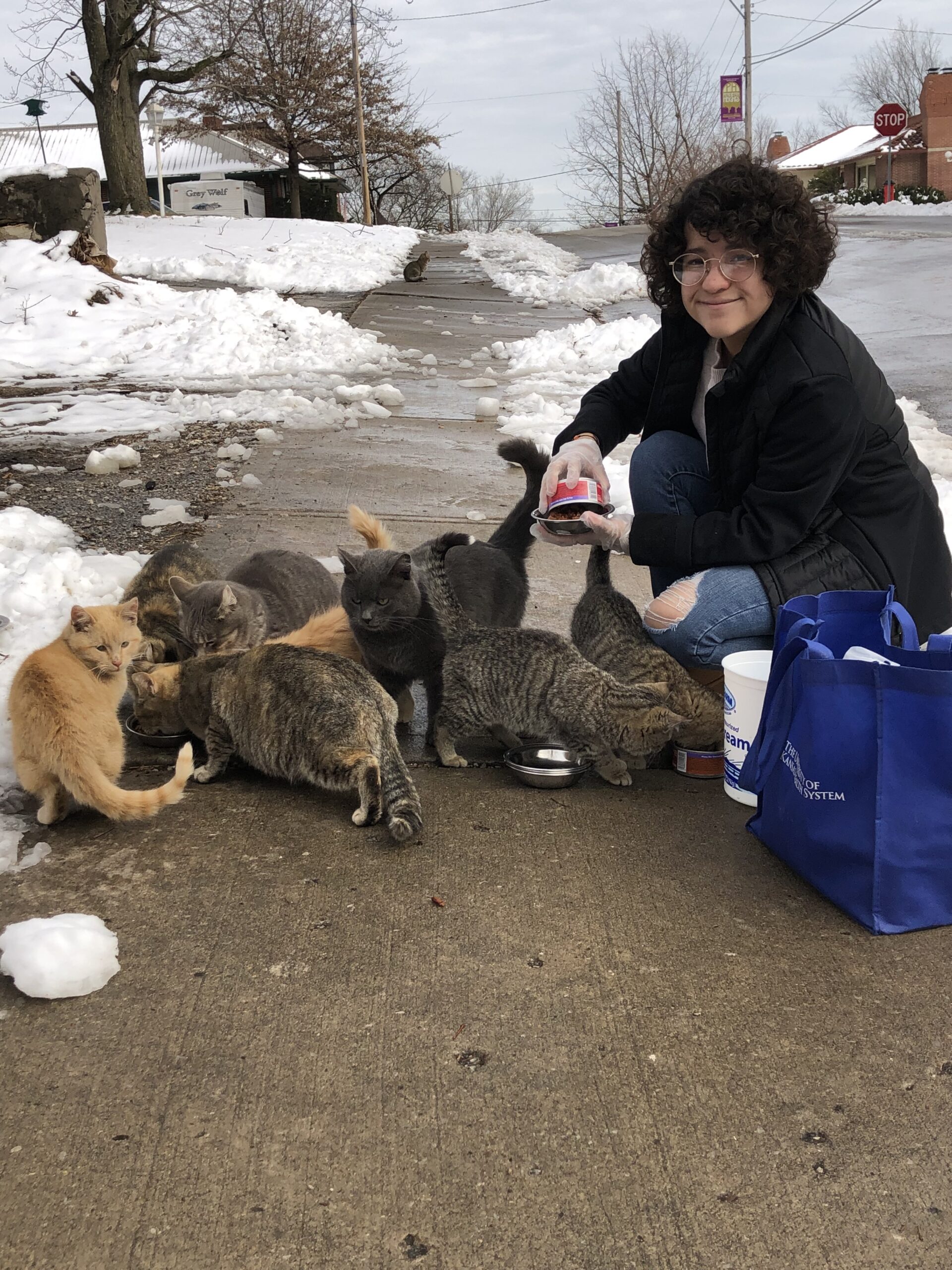 Caring For Community Cats - Northeast News