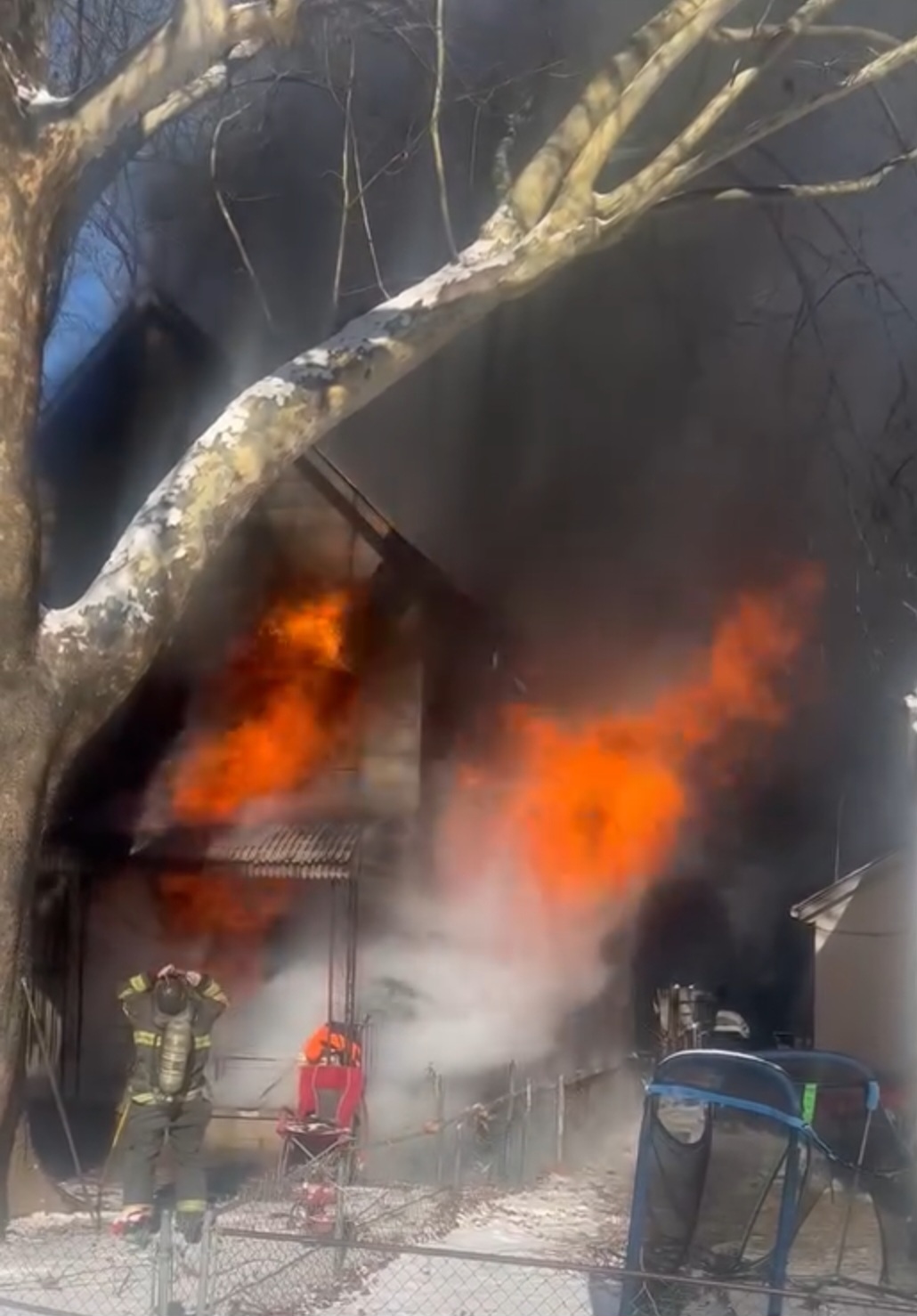 Family pooch saved from 2-alarm blaze this morning