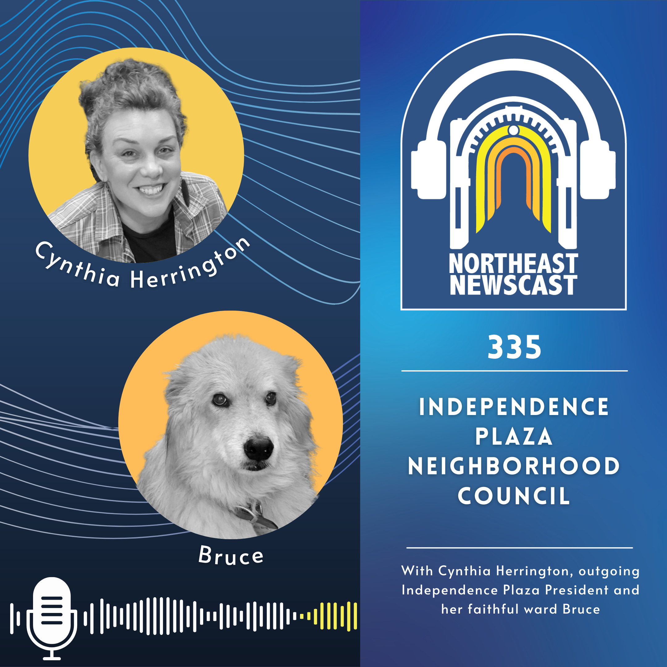334: Independence Plaza Neighborhood Council with Cynthia Herrington (and her friendly ward Bruce)